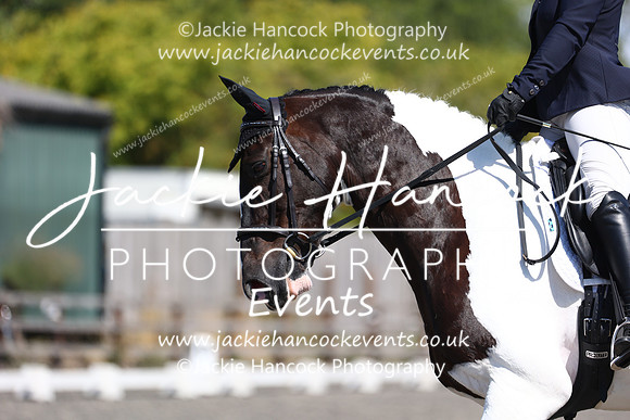 EJV_0917