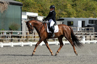 ARENA 2 - All dressage tests between 10:15 - 11:00
