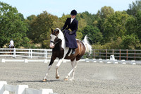 ARENA 1 - All dressage tests between 11:30 - 12:00