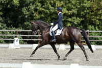 08.08.26 British Dressage & Unaffiliated Dressage, Allens Hill Competition Centre