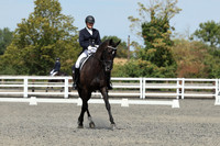 ARENA 1 - All dressage tests between 14:00 - 15:00