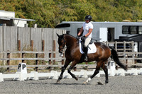 ARENA 2 - All dressage tests between 11:00 - 12:00