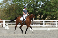 ARENA 1 - All dressage tests between 12:00 - 13:00
