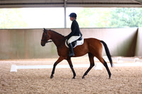 INT'L ARENA - All Dressage Tests between 10:30 - 11:30