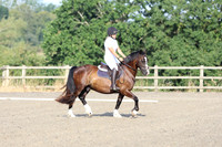 LAR_0033