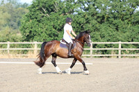 LAR_0034
