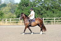 LAR_0039