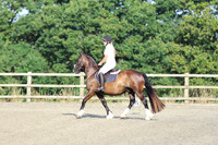 LAR_0047