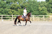 LAR_0049