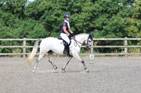 LAR_0419