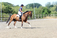 All Dressage Tests between 10:00 - 11:30 (Part Covered)