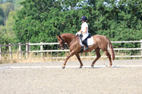 LAR_0568