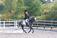 LAR_0025