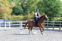 LAR_0566
