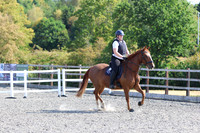 LAR_0567