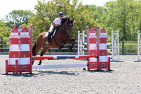 All Showjumping between 13:30 - 14:30