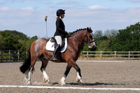 All Dressage Tests between 11:30 - 12:30