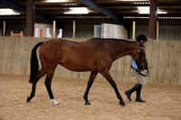 ARENA 1 (Indoor) - All classes between 09:00 - 10:30