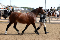 ARENA 2 (Outdoor) - All classes between 10:30 - 12:00