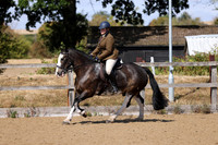 MCP_2328