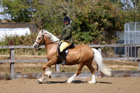 MCP_2380