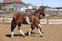 MCP_2414