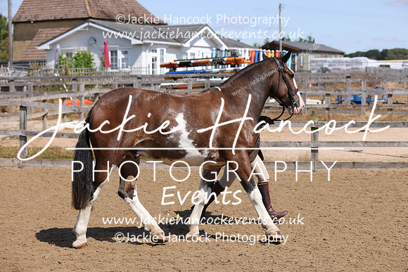 MCP_2414