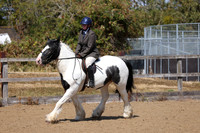 MCP_2410