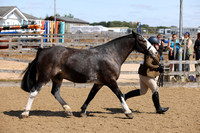 MCP_2427