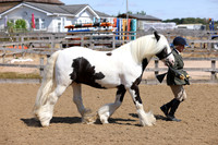 MCP_2436