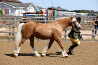 MCP_2441