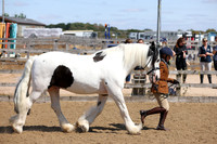 MCP_2461