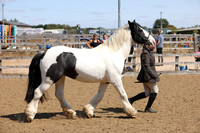 MCP_2469