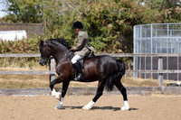 MCP_2492