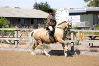 MCP_3412