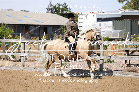 MCP_3412