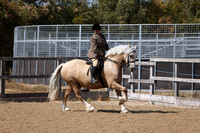 MCP_3513