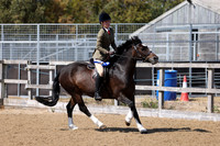 MCP_3537