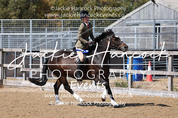 MCP_3537