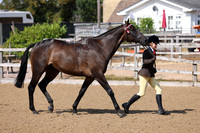 MCP_3796