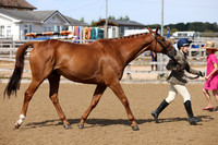 MCP_3879