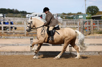 MCP_4003