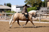 MCP_4049