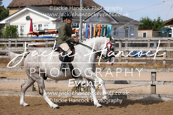 MCP_4295