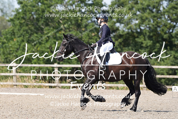 TMO00704