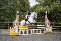 15a/b - Pony Discovery 90cm