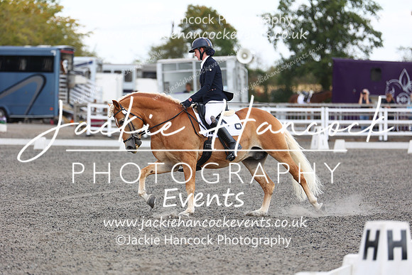 EJV_0206