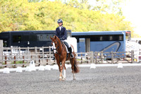 EJV_0412