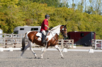 ARENA 1 - All Dressage Tests between 10:30 - 11:30