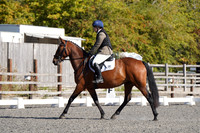 ARENA 1 - All Dressage Tests between 09:30 - 10:30
